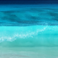 Mare Salis